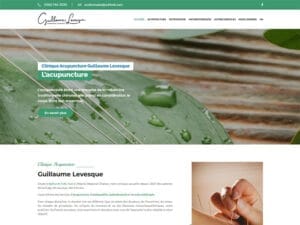 Acupuncture Levesque