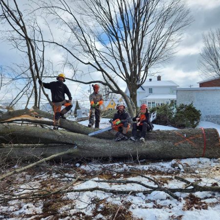 L'Équipe d'Élagage SL Plus